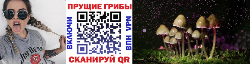 MEGA зеркало  Тарко-Сале  Псилоцибиновые грибы прущие грибы 